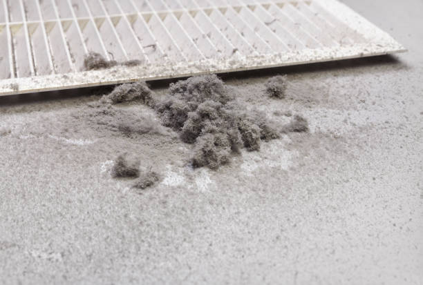 Best Commercial Air Duct Cleaning  in Maben, MS