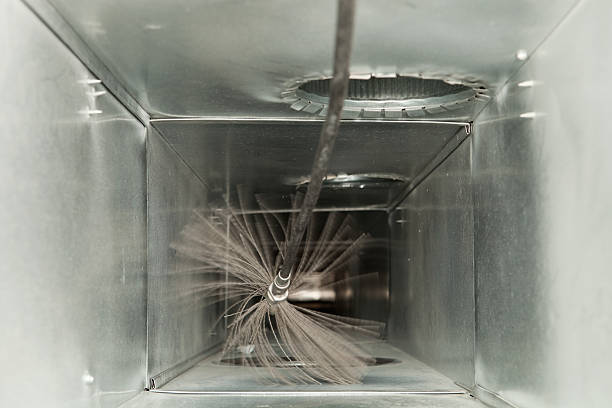 Best Air Duct Mold Removal  in Maben, MS
